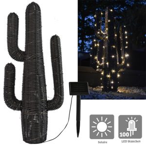 Cactus tressé lumineux solaire H75cm - AIC International