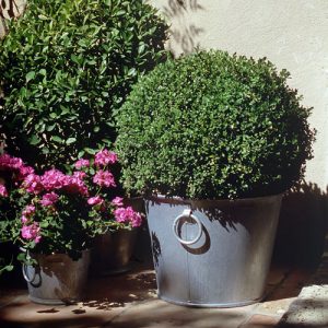 Galvanized flower pot n°4 – 59L - AIC International