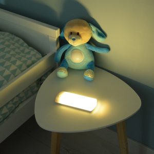 Rechargeable automatic night light