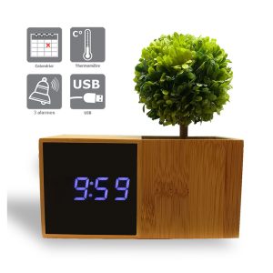 LED bamboo alarm clock with plant - AIC International