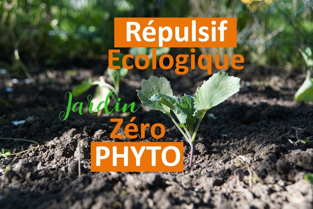 La solution pour remédier aux pesticides : les répulsifs écologiques Mundus®!