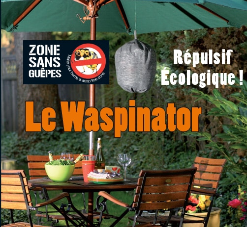 Le Waspinator : Répulsif à guêpes écologique !