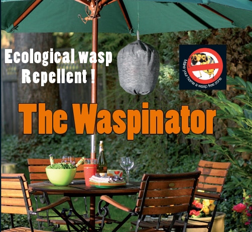 Ecological wasp Repellent: the Waspinator!