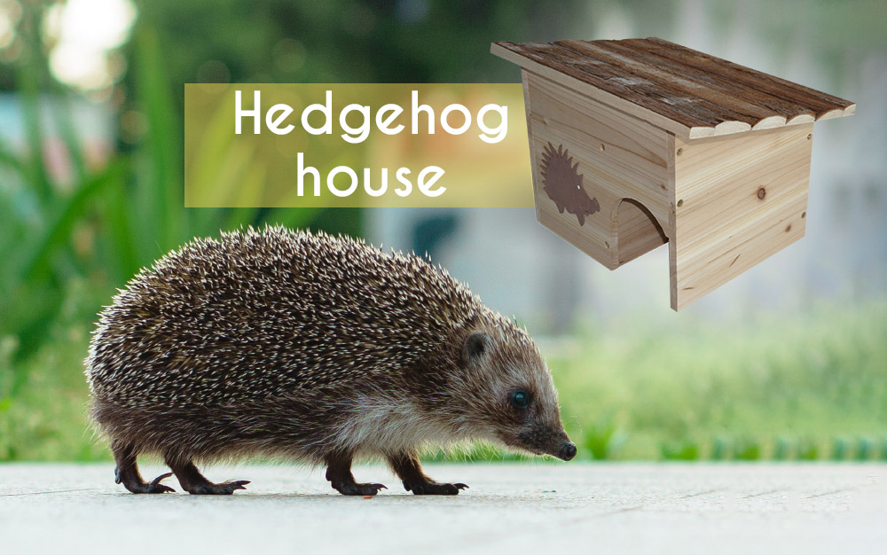 Hedgehog House: Protect the vegetable garden’s ally!